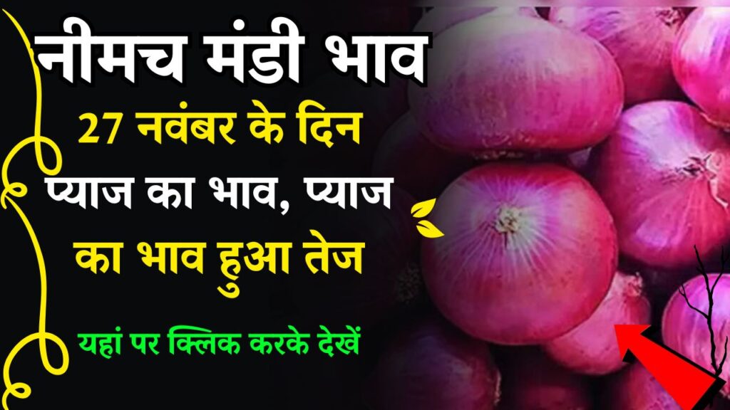 Neemuch Mandi Pyaj Ka Bhav