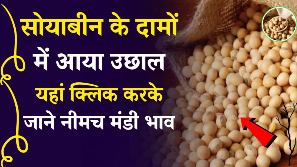 Neemuch Mandi Bhav