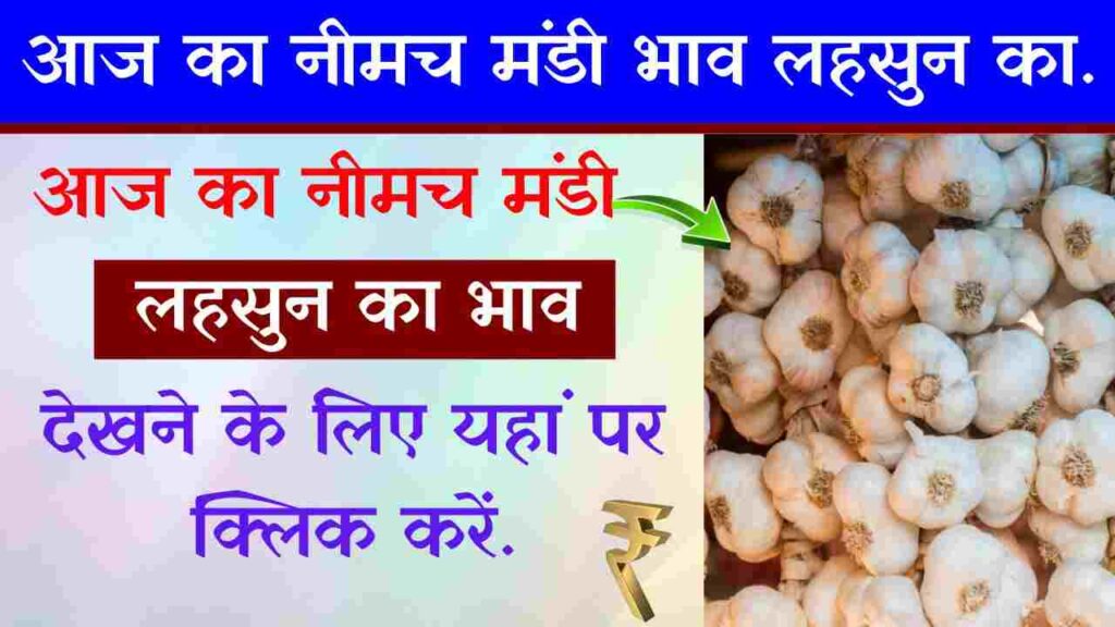 Neemuch Mandi Bhav Today | आज के नीमच मंडी भाव