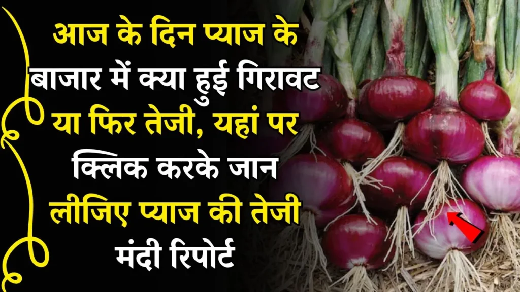 आज के दिन प्याज के बाजार में क्या हुई गिरावट या फिर तेजी