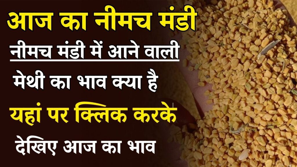 Neemuch Mandi Bhav Today