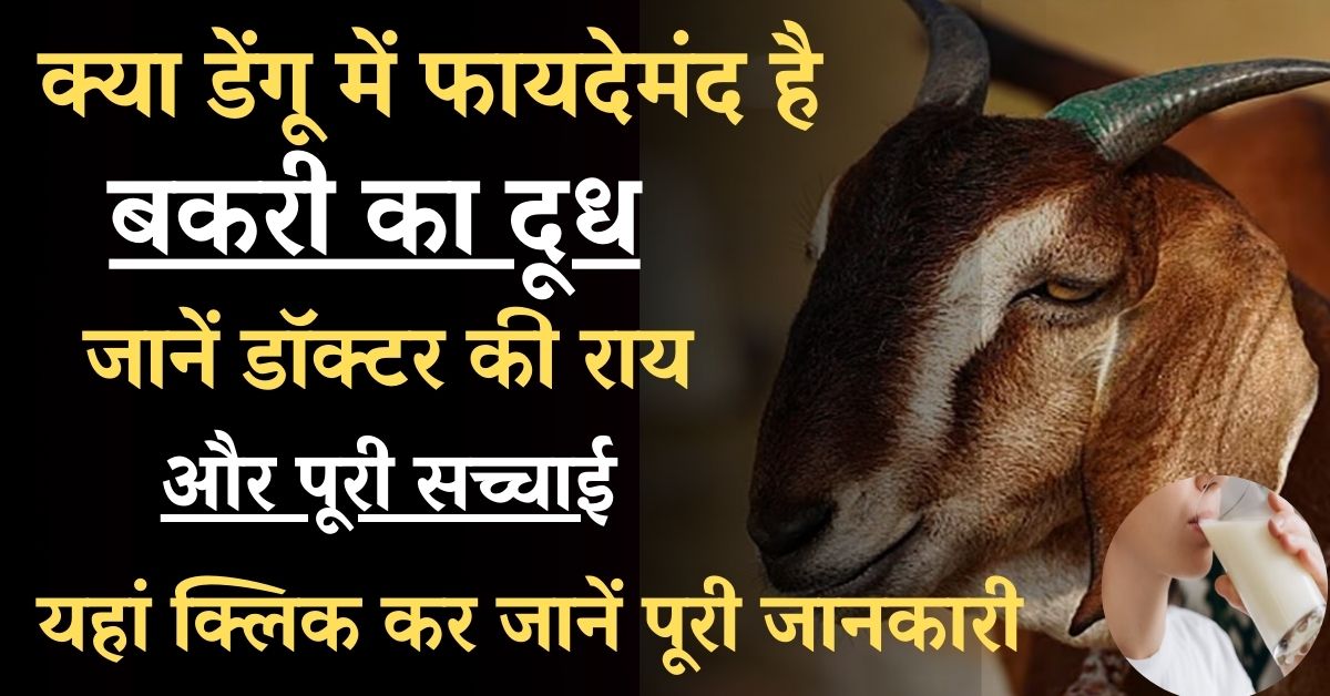 Trending News : क्या डेंगू में फायदेमंद है