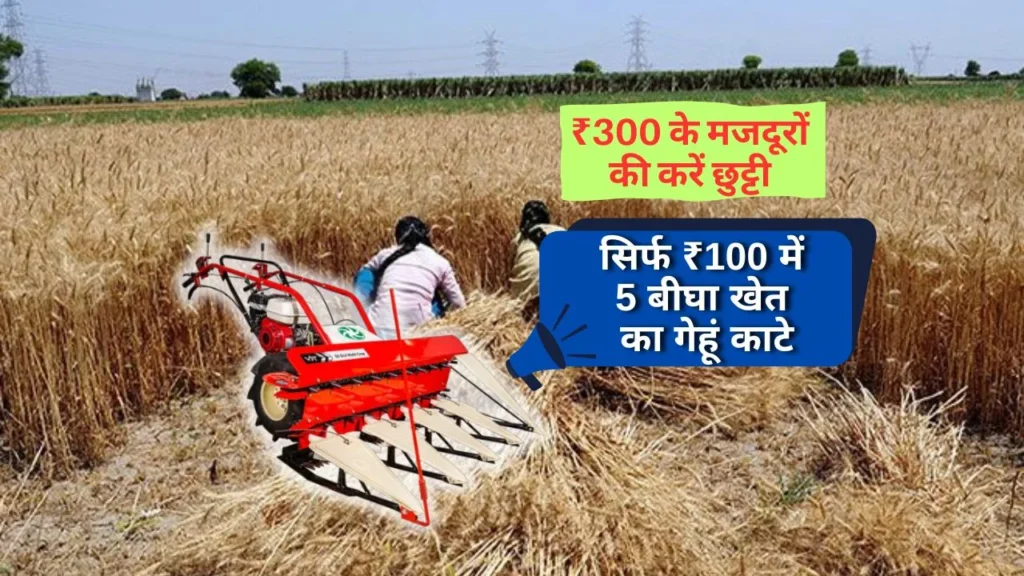 100 रुपये में 5 बीघा गेहूं की कटाई